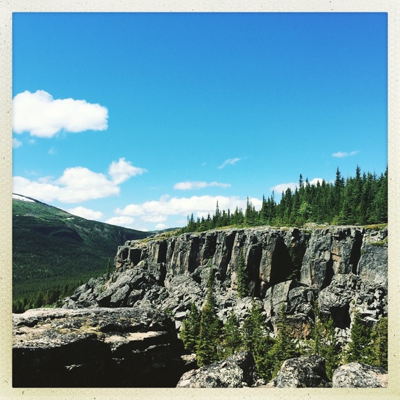 Meet your Posher, Joan - Picture 10 of 10